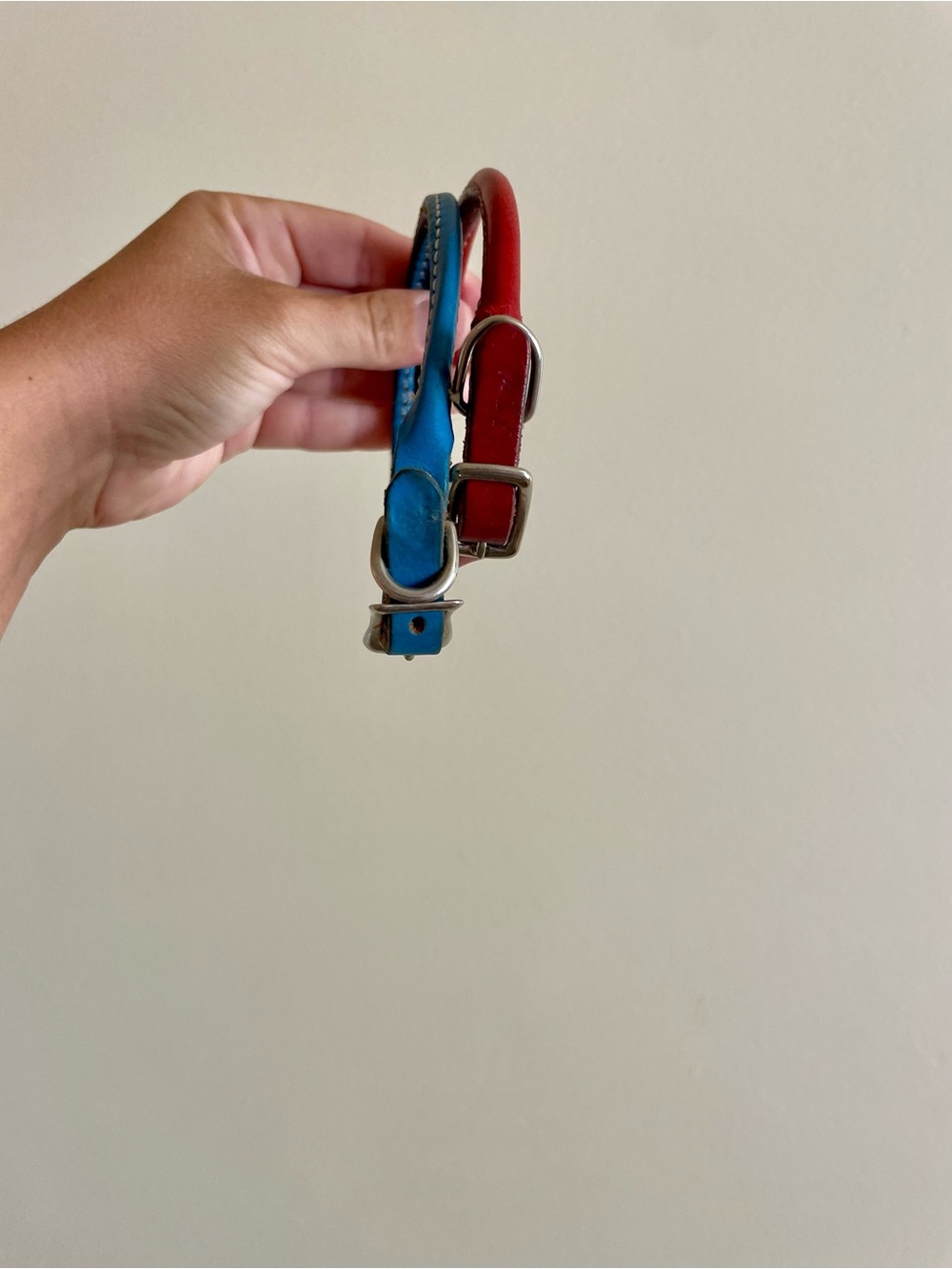 Blue and Red Leather Dog Collars - Classic Adjustable Pet Collar